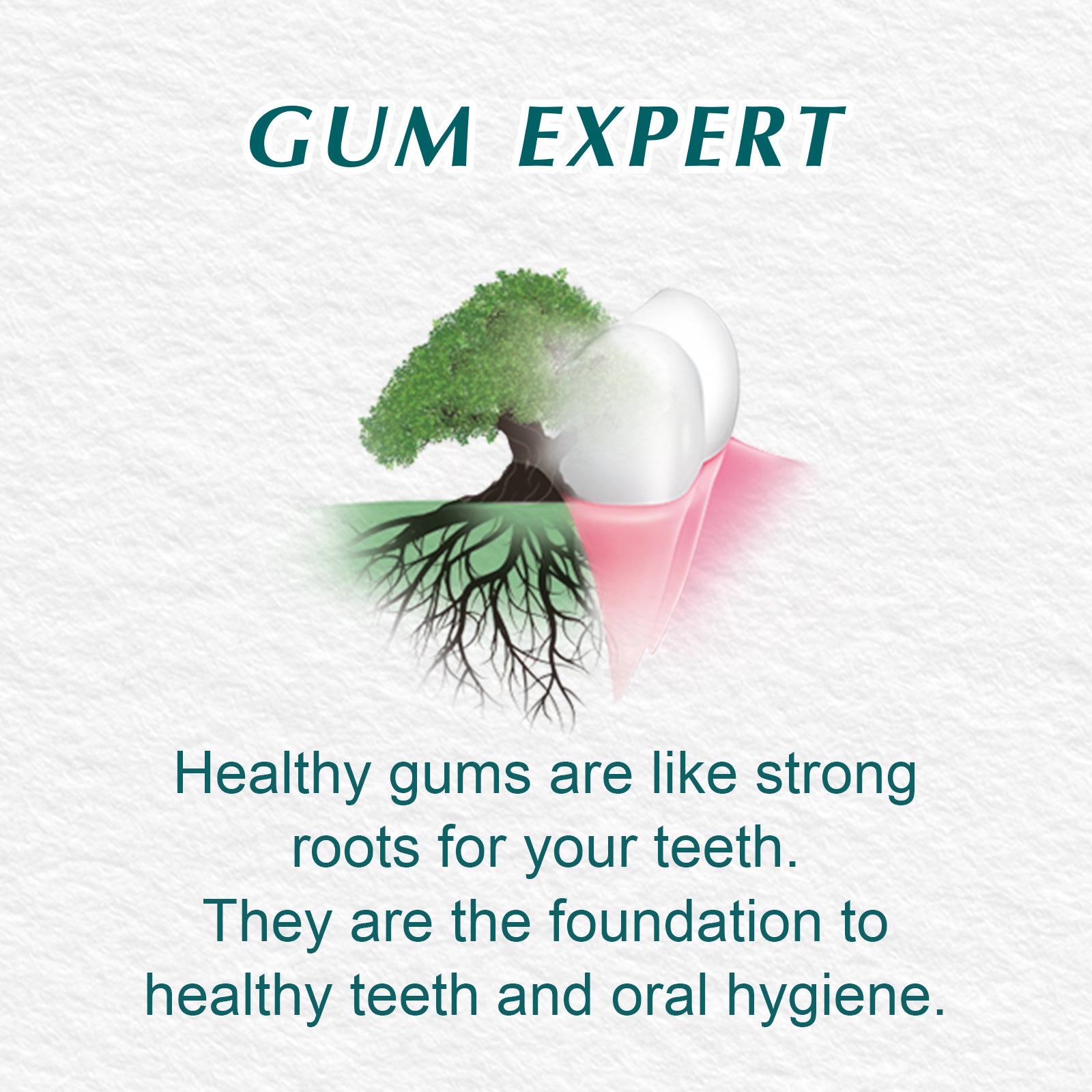 Mint Fresh Herbal Toothpaste 100ml