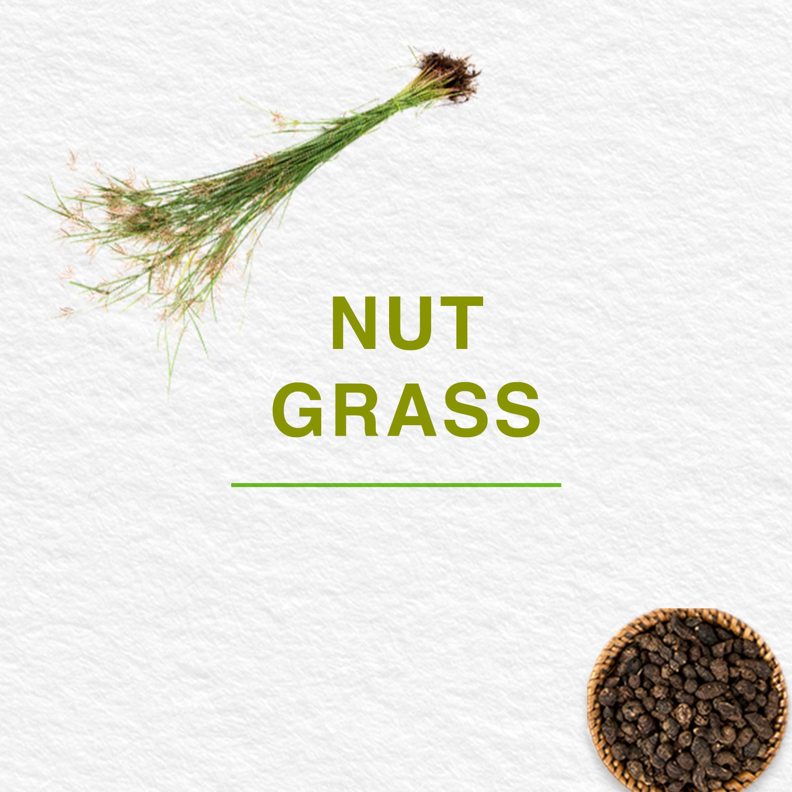 Pure Hands Fresh Hand Sanitizer-300 ml