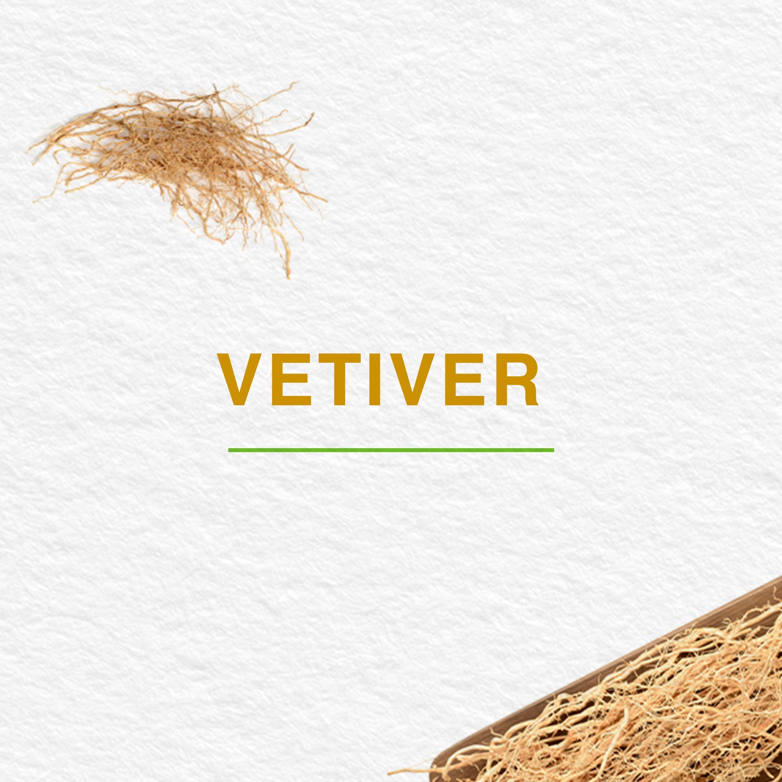 Pure Hands Fresh Hand Sanitizer-300 ml