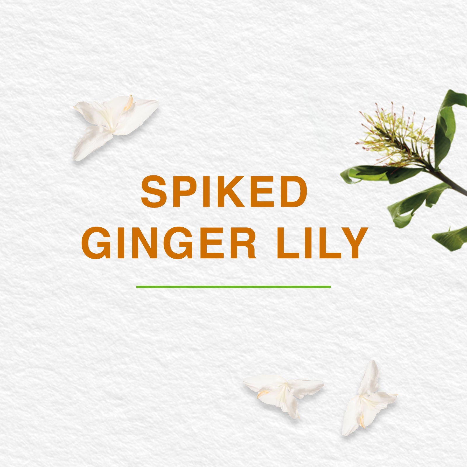 Pure Hands Fresh Hand Sanitizer-50 ml