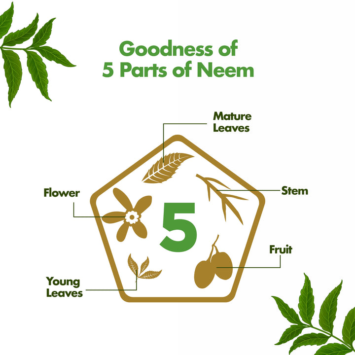 Purifying Neem Serum