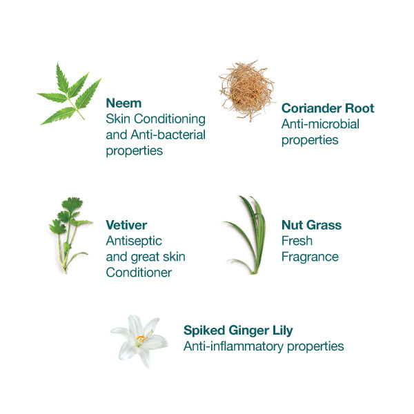 Himalaya Pure Hands Fresh Hand Sanitizer 50ml Ingredients