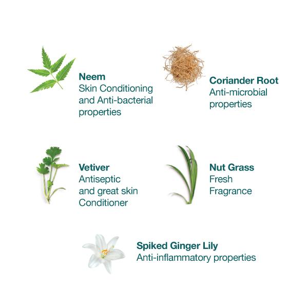 Pure Hands Fresh Hand Sanitizer-300 ml