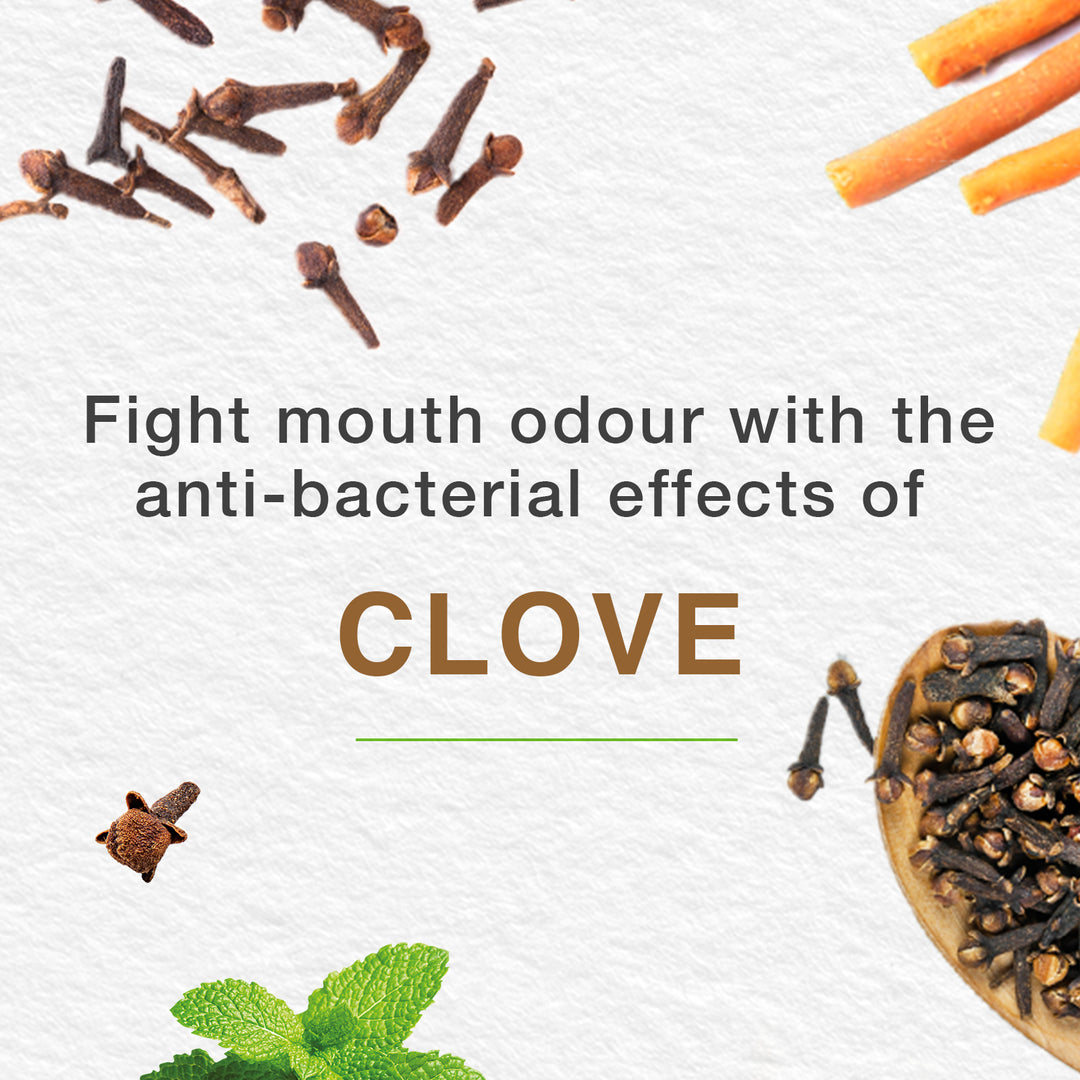 Mint Fresh Herbal Toothpaste 100ml