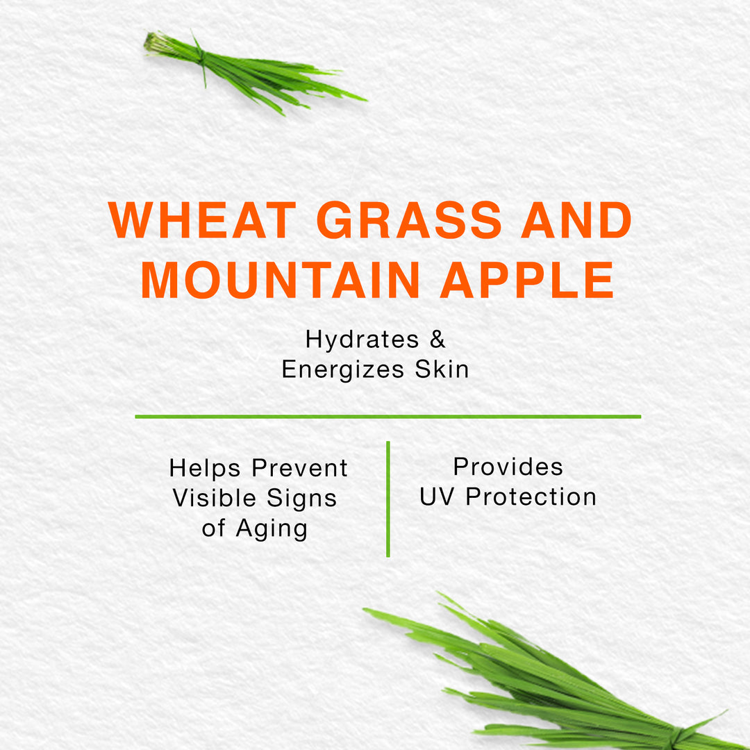 Energizing Day Cream 50g