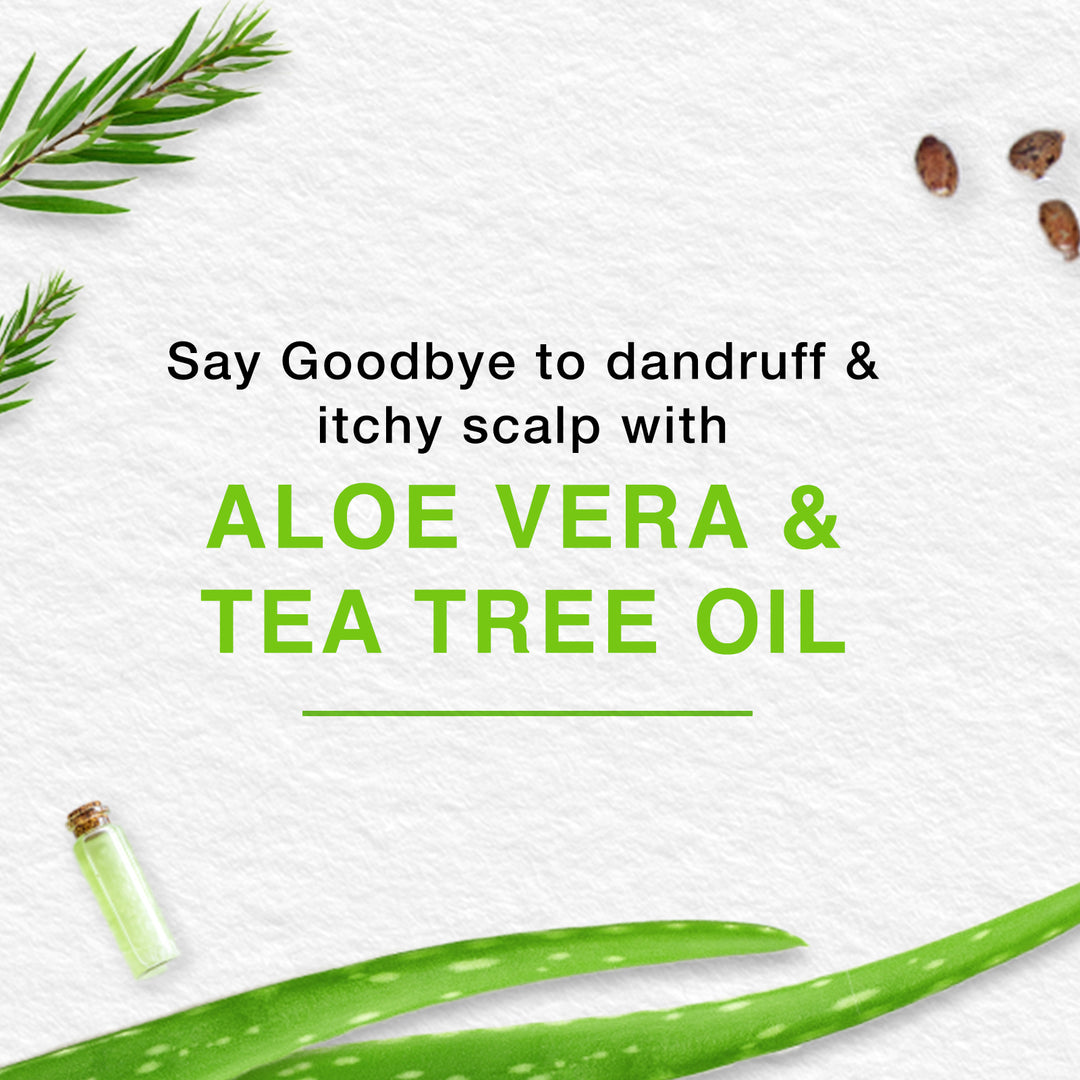 Anti-Dandruff Soothing & Moisturizing Shampoo 200ml