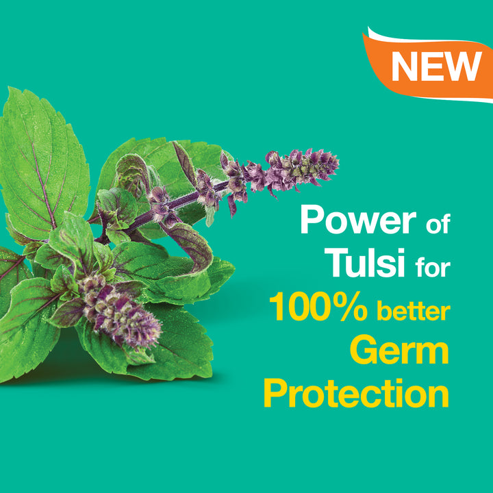 Pure Hands Tulsi & Aloe Vera Anti-Bacterial HAND WASH