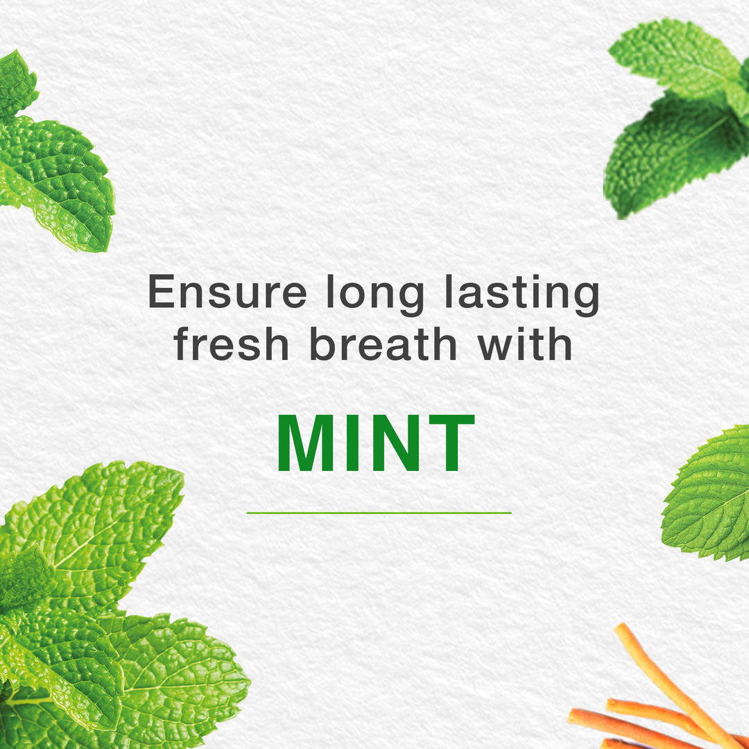 Mint Fresh Herbal Toothpaste 100ml
