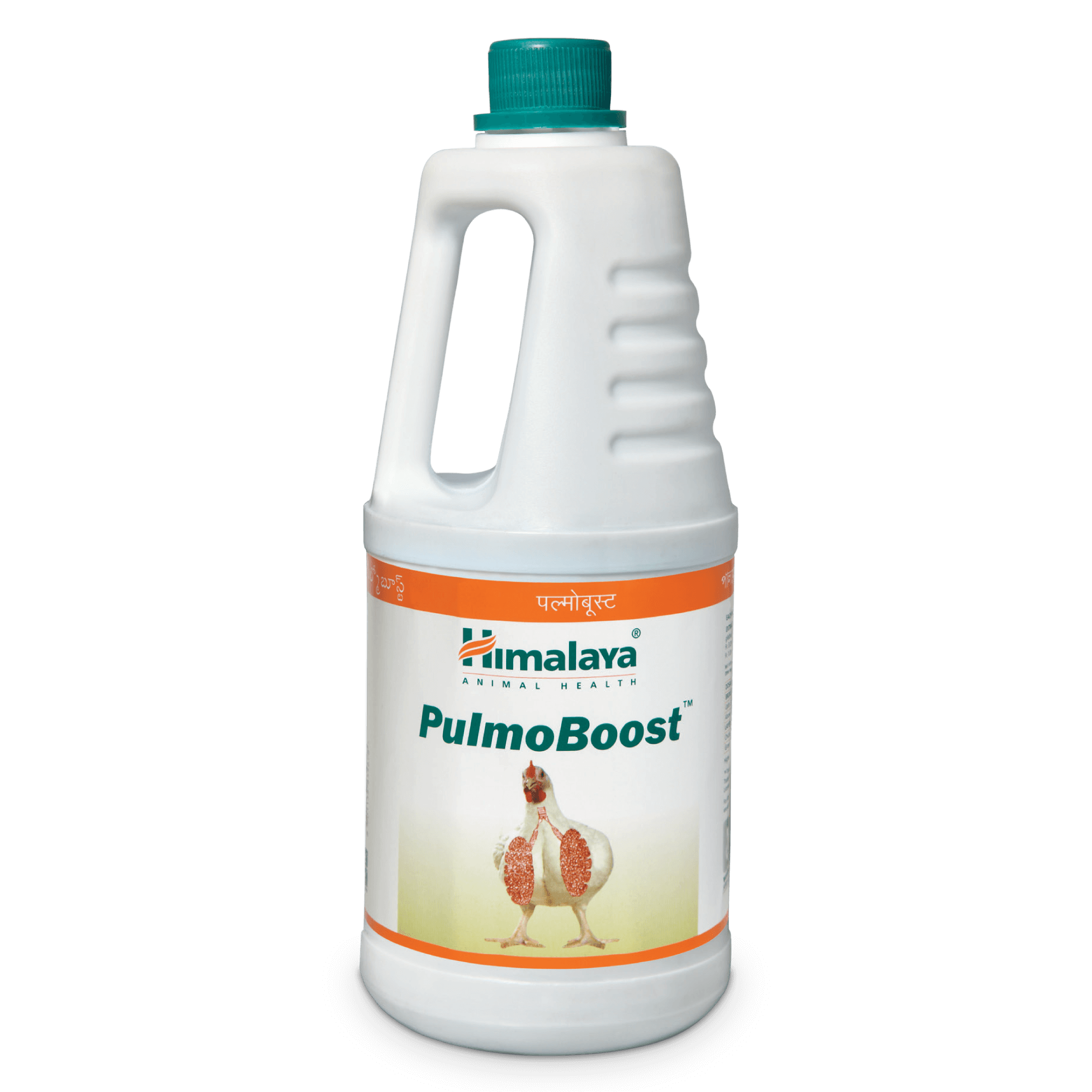 Himalaya PulmoBoost - Relief from Respiratory Diseases