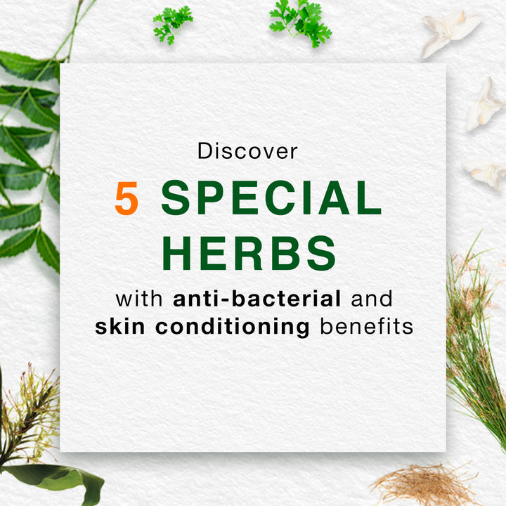 Pure Hands Fresh Hand Sanitizer-300 ml