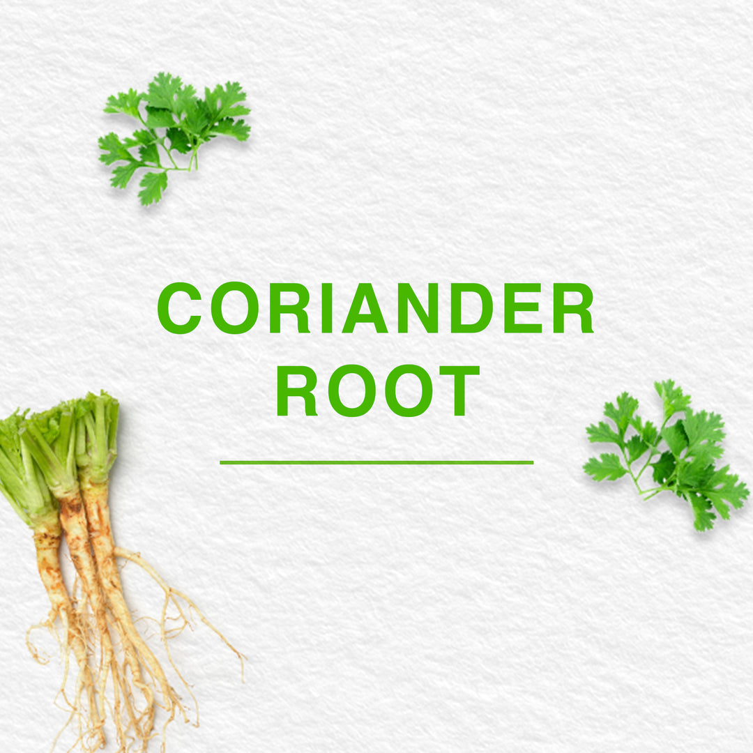 Pure Hands Fresh Hand Sanitizer-300 ml