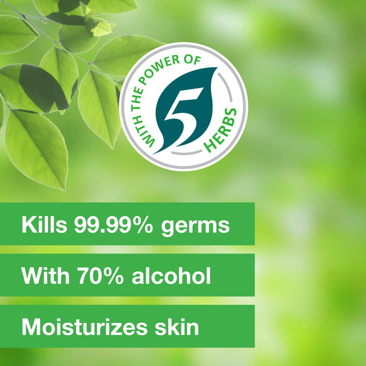 Pure Hands Fresh Hand Sanitizer-300 ml