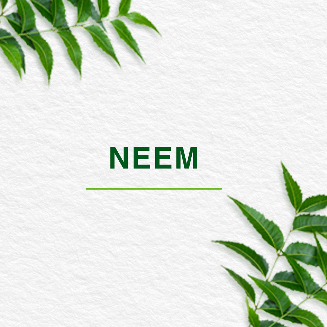 Pure Hands Fresh Hand Sanitizer-300 ml