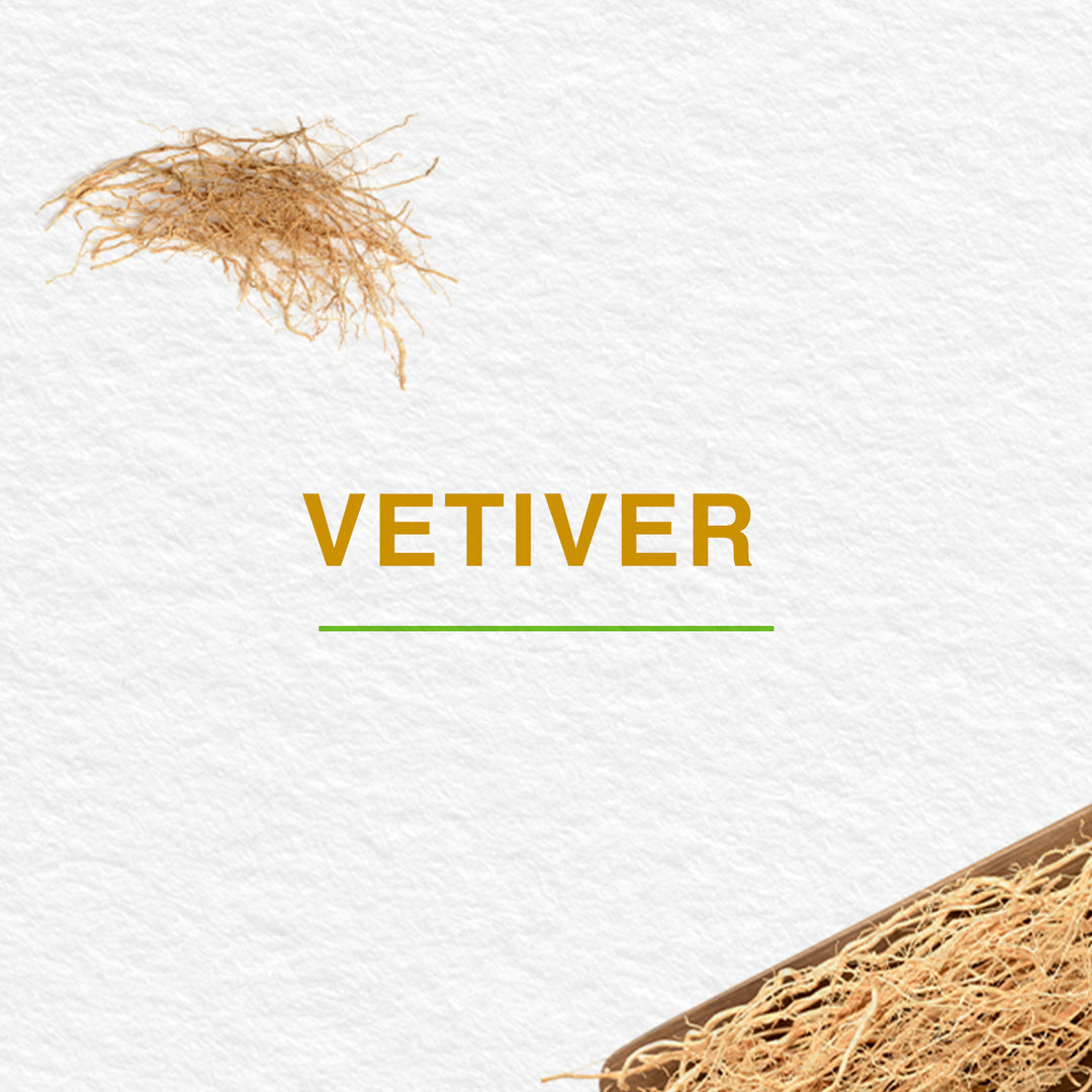 Pure Hands Fresh Hand Sanitizer-300 ml